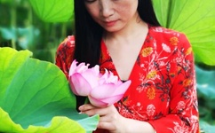 美女的烦恼里的歌曲